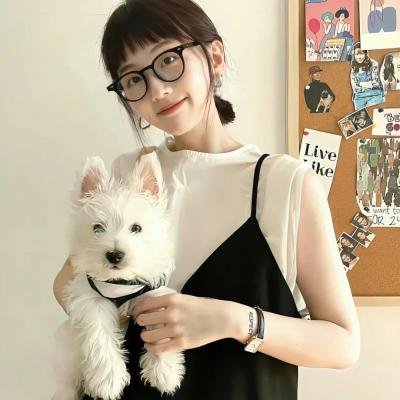 痞子英雄